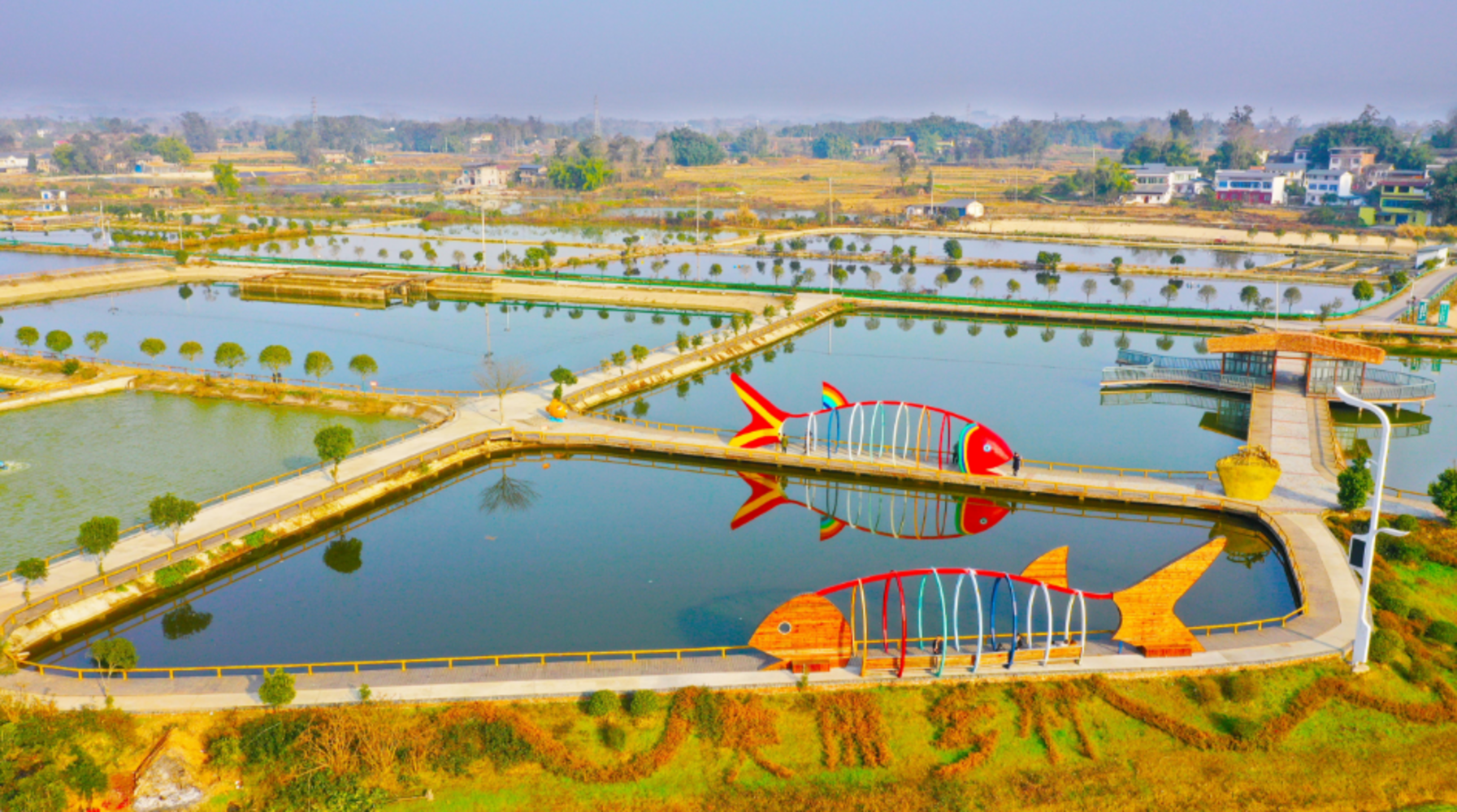Rural Revitalization 2