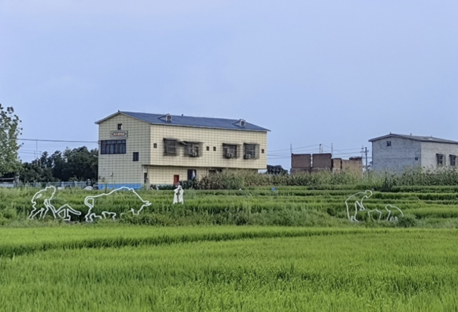 work form Hongba Village Minda Township Liangping District